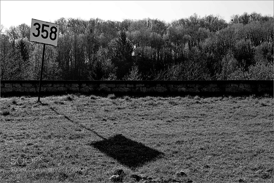 Nikon D610 sample photo. The shadow of the photography