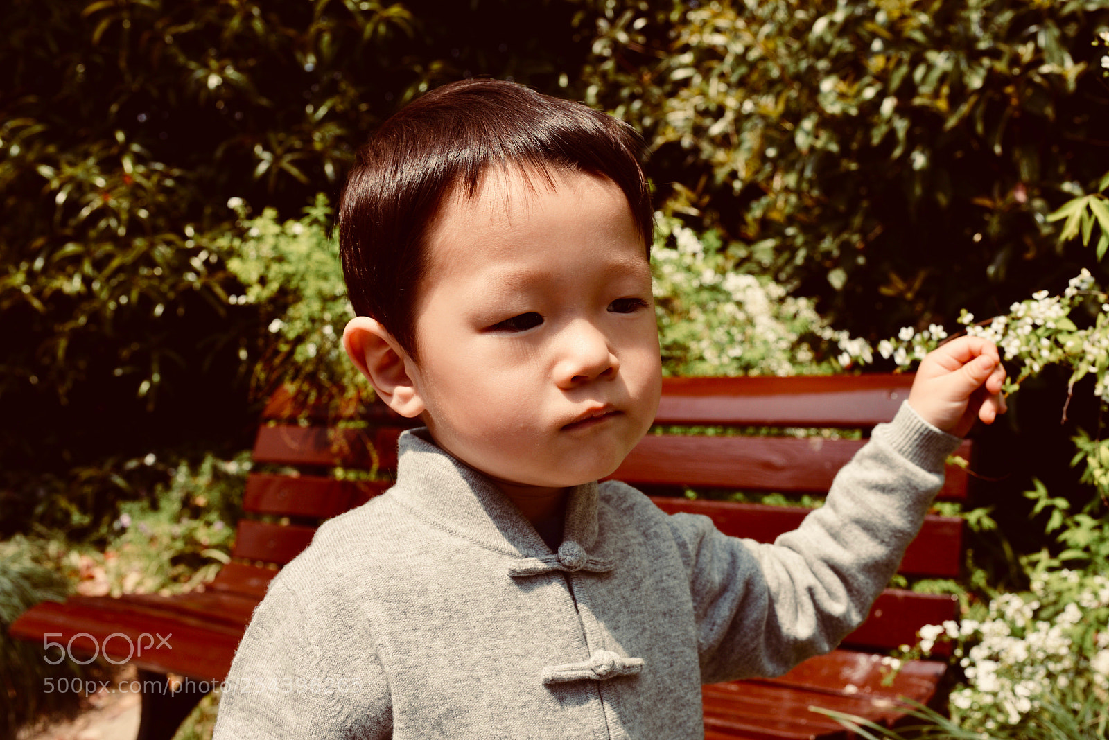 Nikon D610 sample photo. 信手捏来 photography