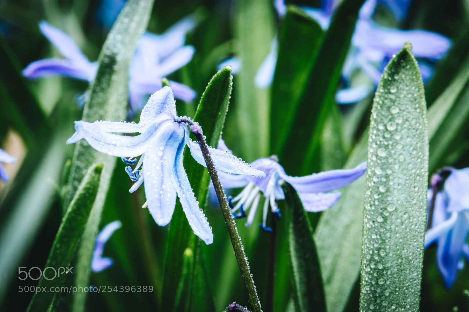 Nikon D7200 sample photo. Feels like spring photography