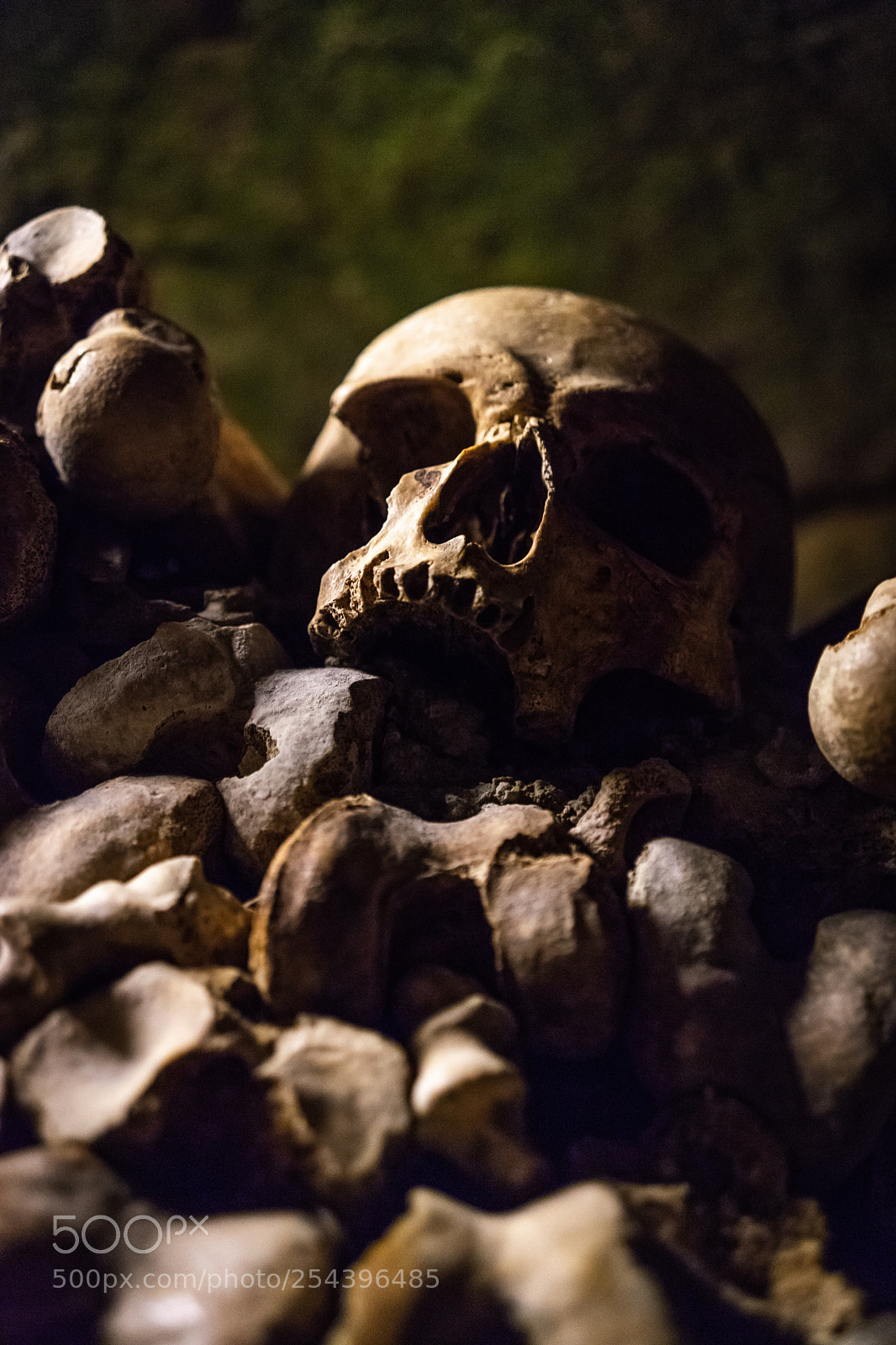 Sony a7 II sample photo. Paris catacombs photography