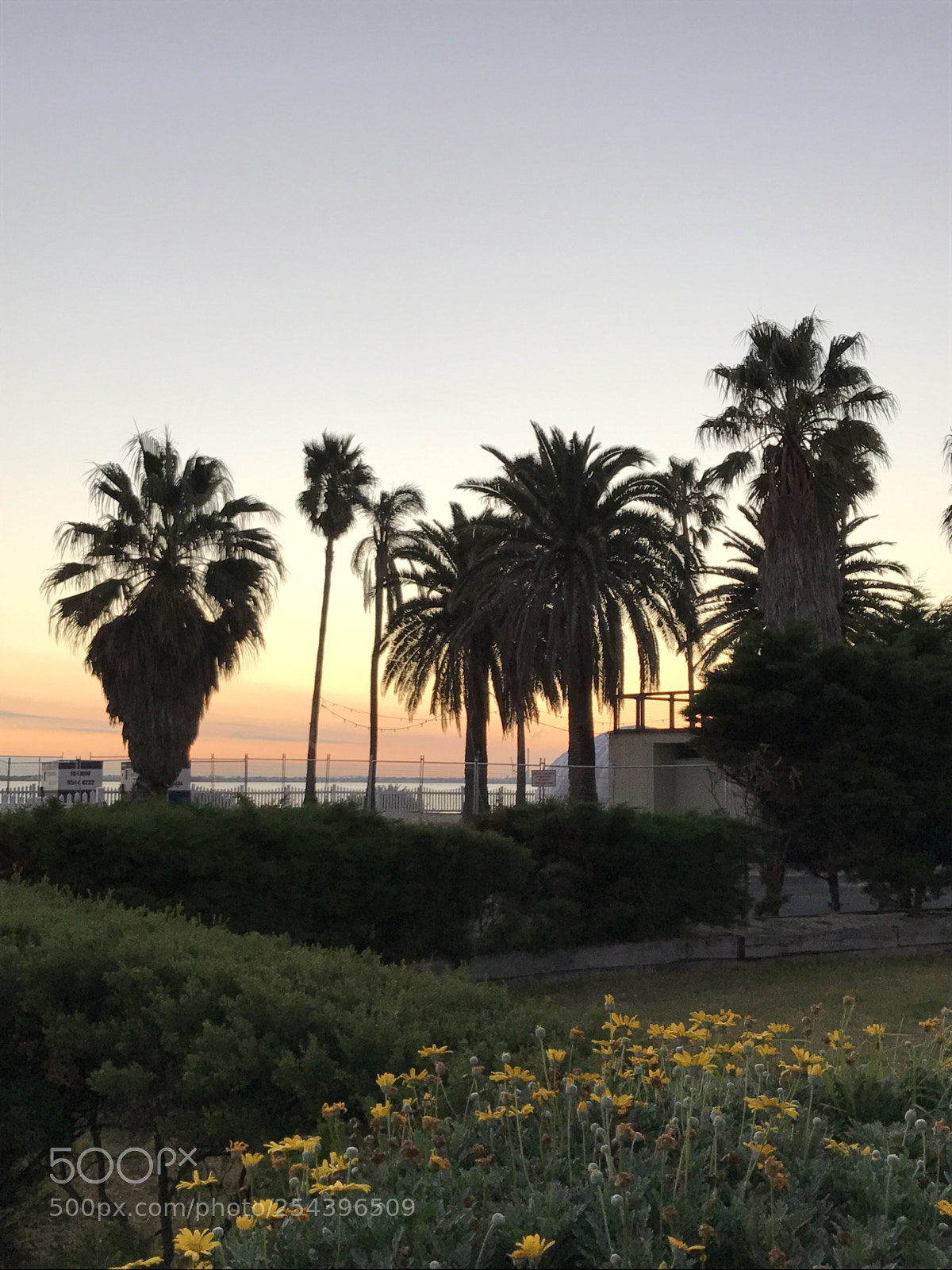Apple iPhone 7 sample photo. Sunset  photography