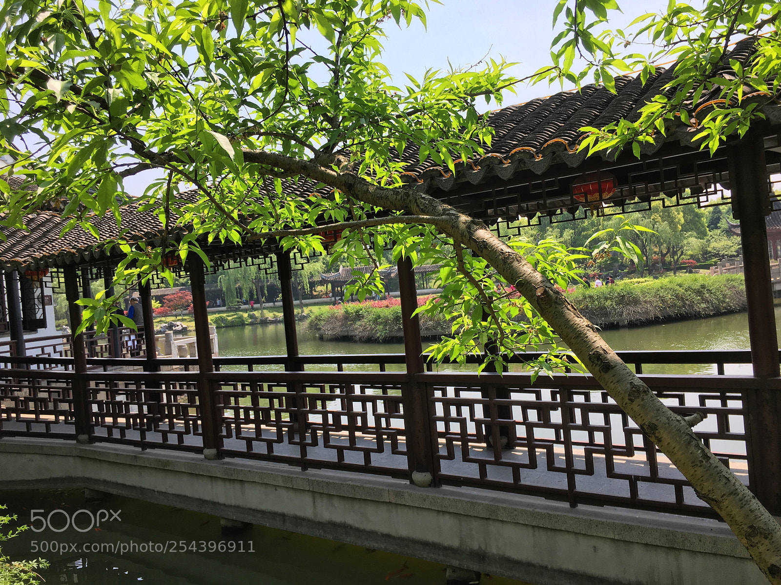 Apple iPhone 6s sample photo. Suzhou china photography