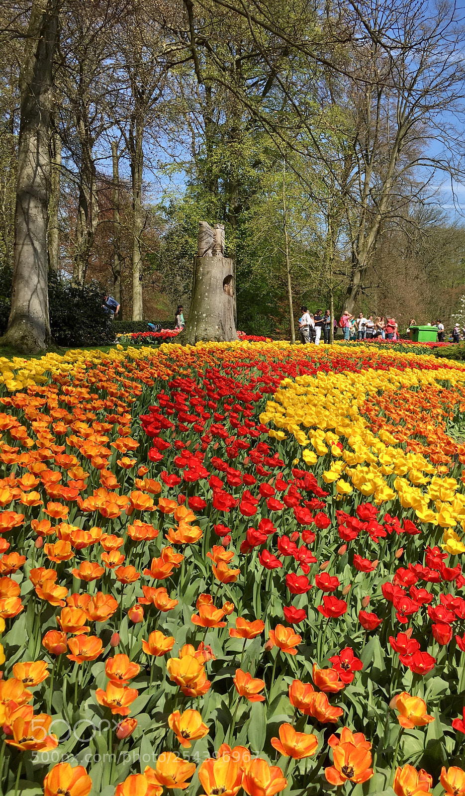 Apple iPhone 6s Plus sample photo. Keukenhof garden 2018. lisse, nederland. photography