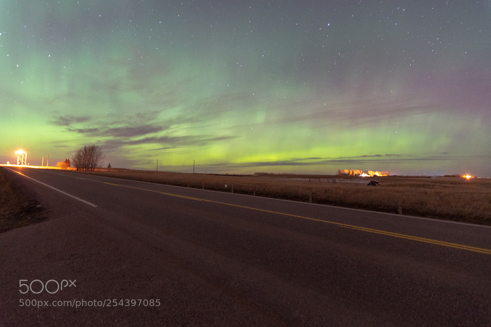 Nikon D500 sample photo. Aurora in calgary photography