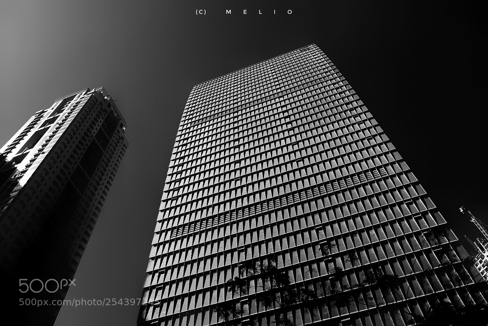 Fujifilm X-T10 sample photo. Untitled photography