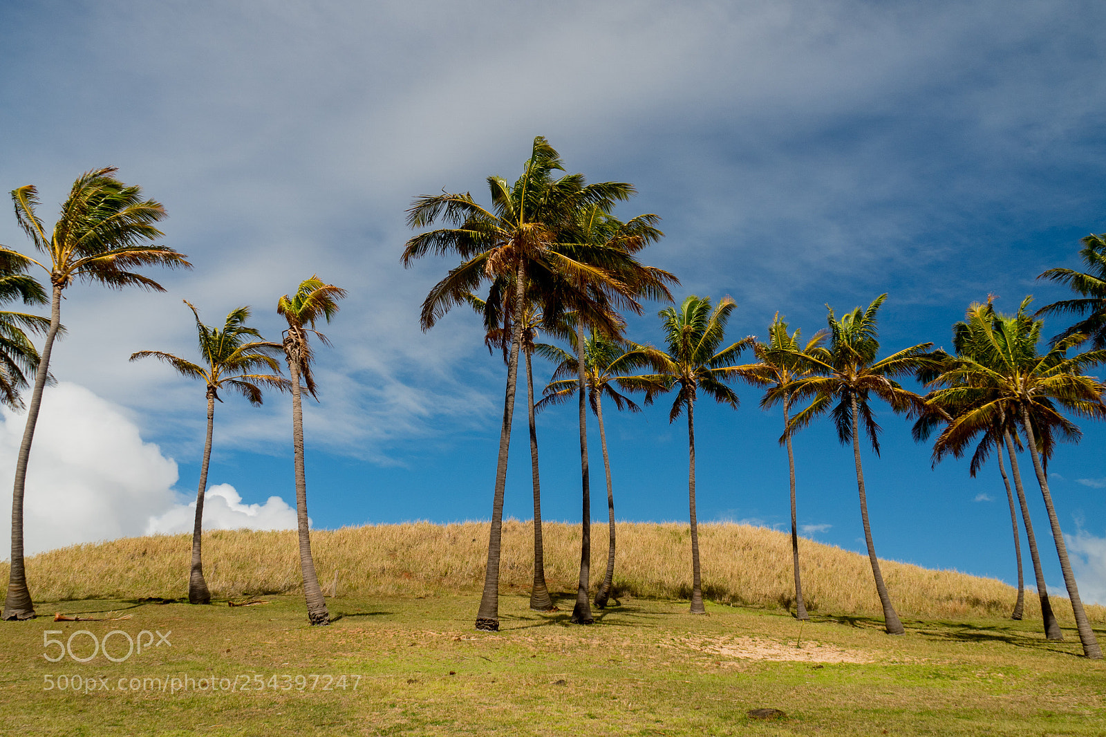 Olympus OM-D E-M5 II sample photo. Anakena beach, easter island photography