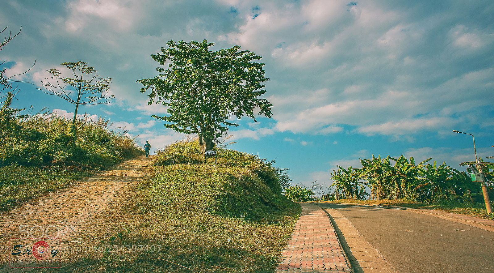 Canon EOS 700D (EOS Rebel T5i / EOS Kiss X7i) sample photo. Sajek valley, bangladesh photography