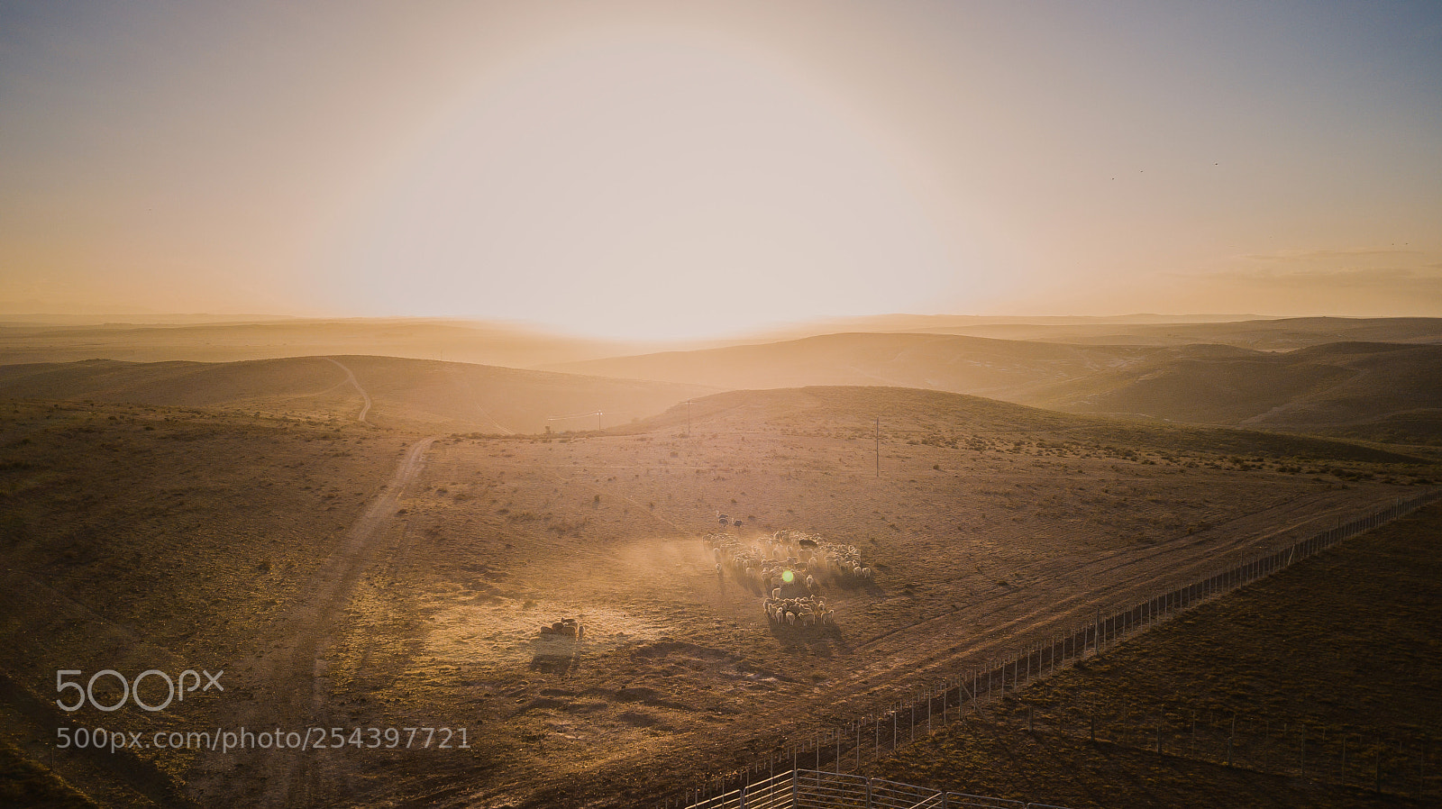 DJI FC220 sample photo. Golden mile photography