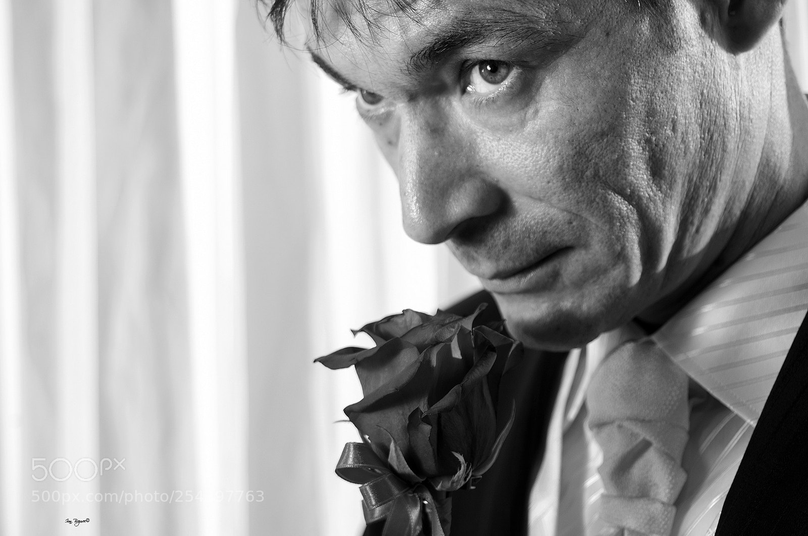 Nikon D2X sample photo. Zoran photography