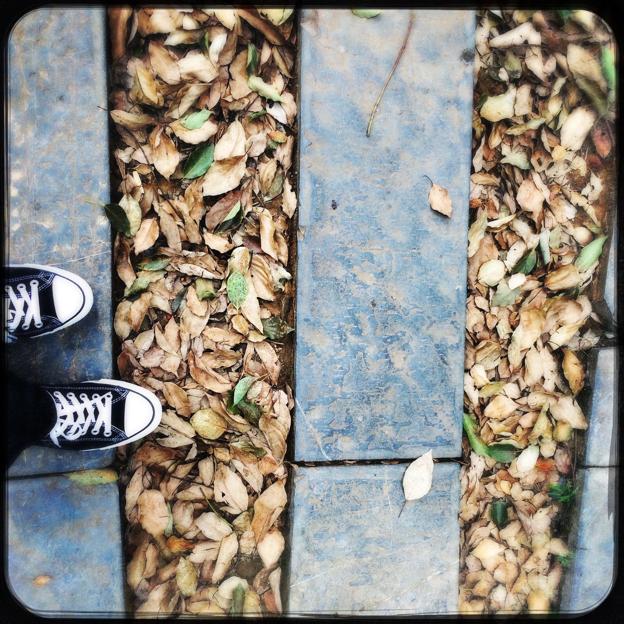 Hipstamatic 301 sample photo. 2015-10-04 145222.jpg photography