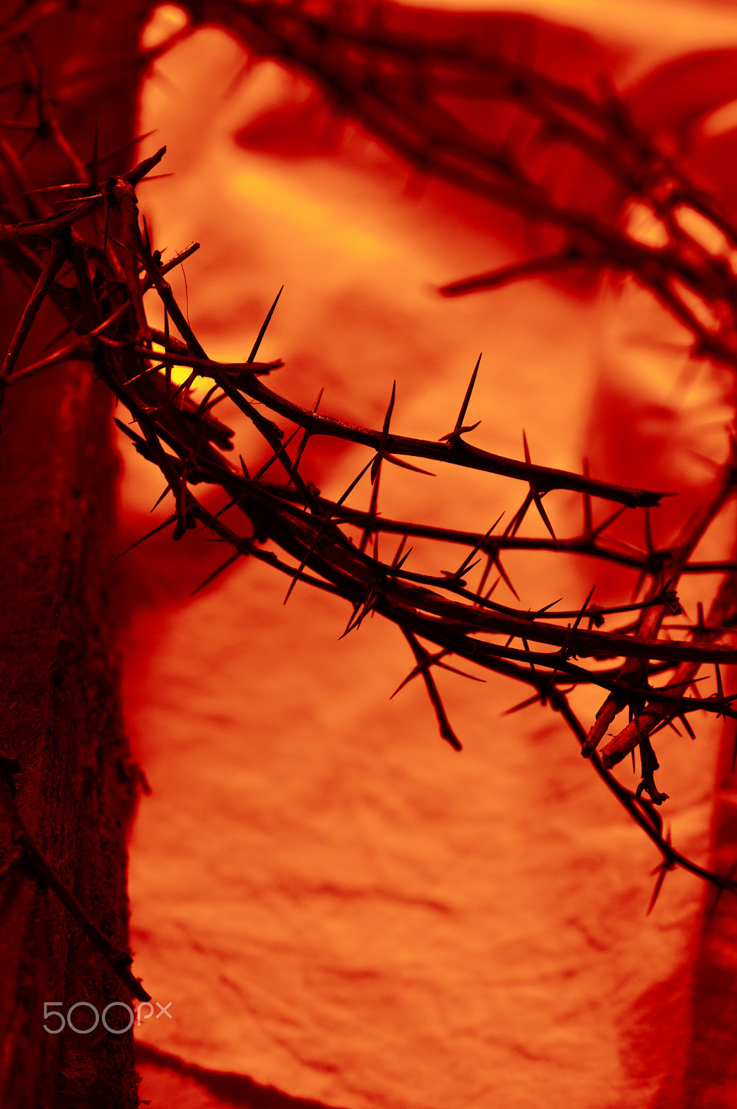 Nikon D3200 sample photo. Blood red crown of thorns on cloth photography