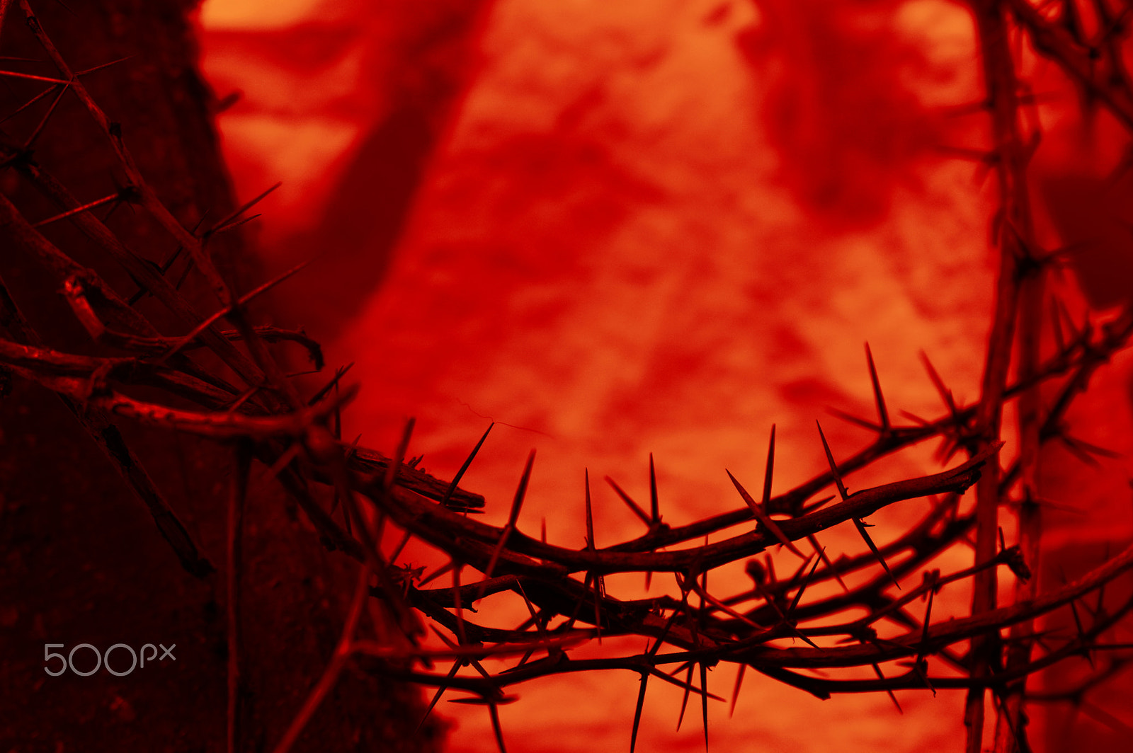 Nikon D3200 sample photo. Blood red crown of thorns on cloth photography