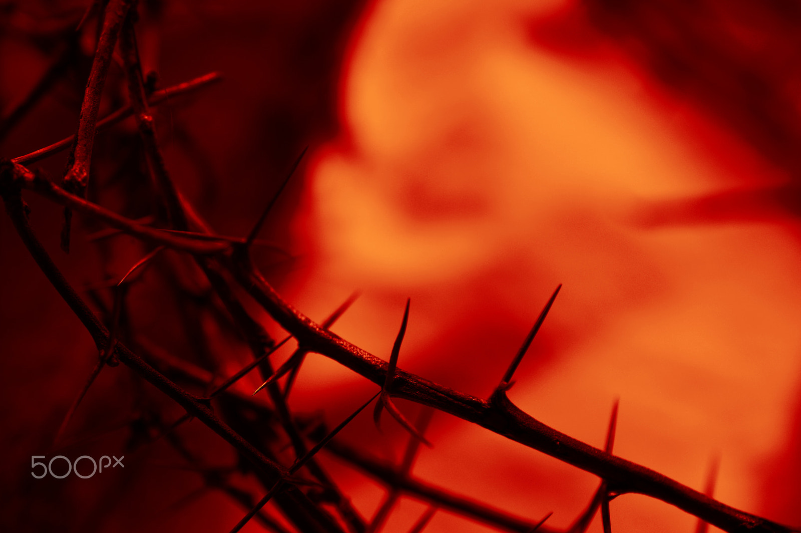 Nikon D3200 sample photo. Blood red crown of thorns on cloth photography