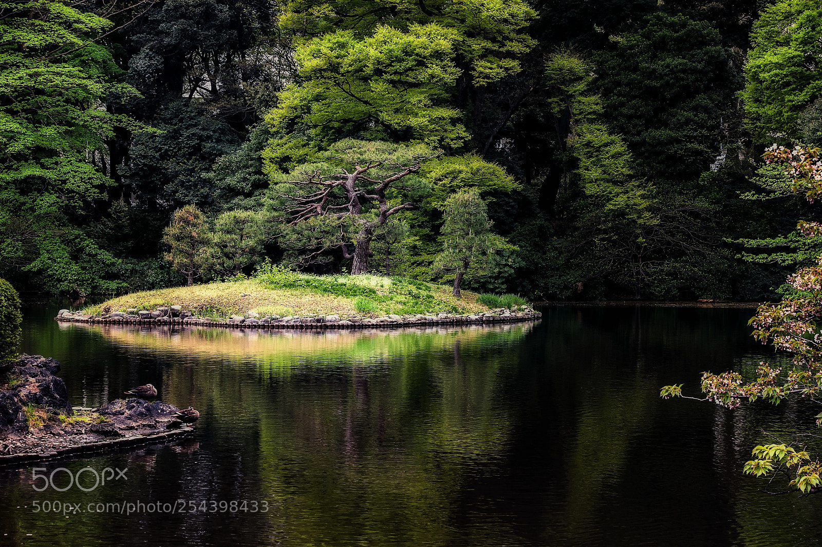 Canon EOS-1Ds Mark III sample photo. Turtle island photography