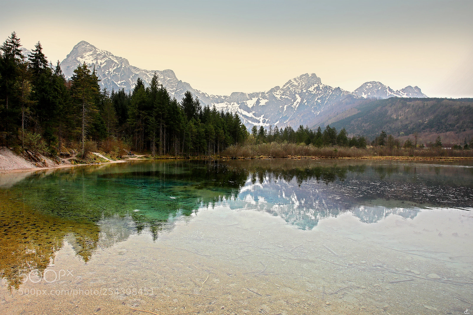 Canon EOS 5D Mark IV sample photo. Almsee... photography