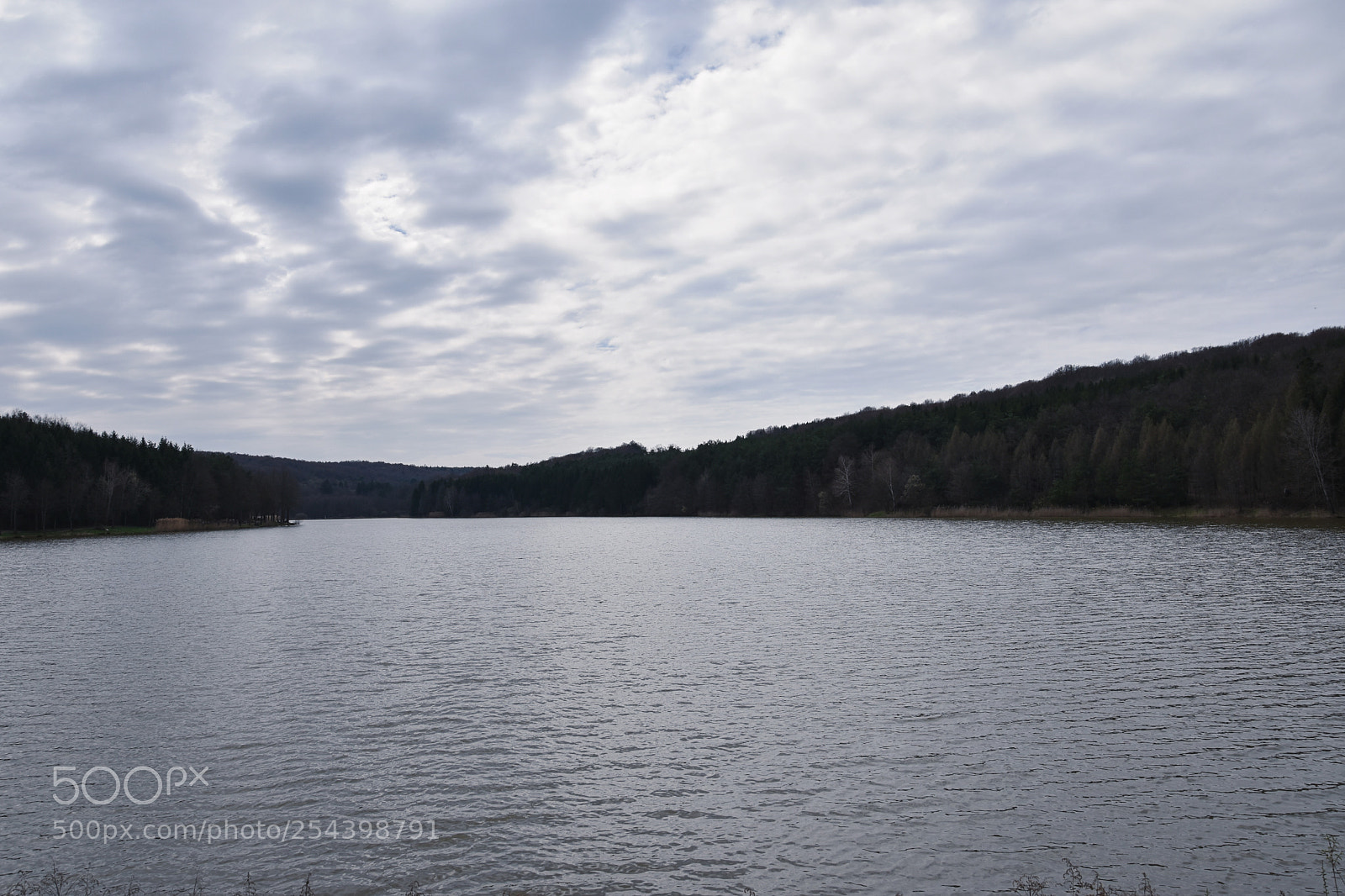Nikon D3400 sample photo. Untitled photography