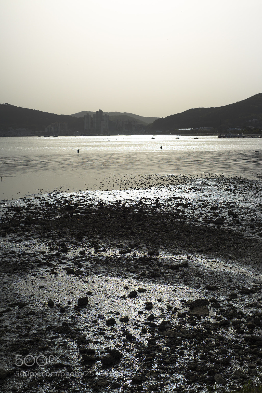 Nikon D810 sample photo. In a sea 8 photography