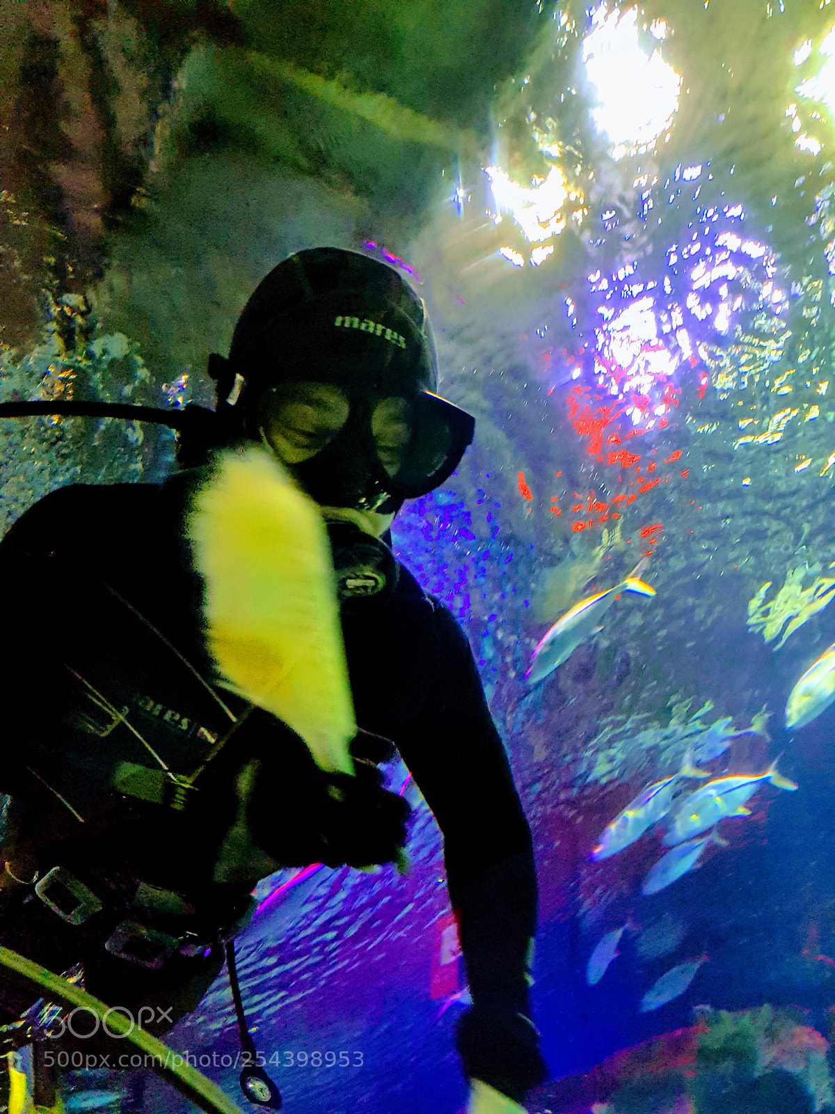 Samsung Galaxy S8 sample photo. Oceanarium photography