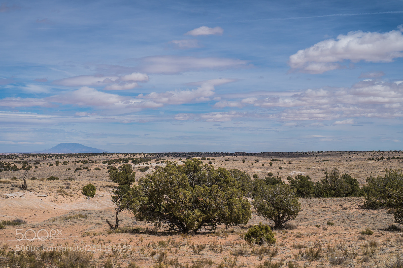 Sony a6300 sample photo. Navajo mountain photography