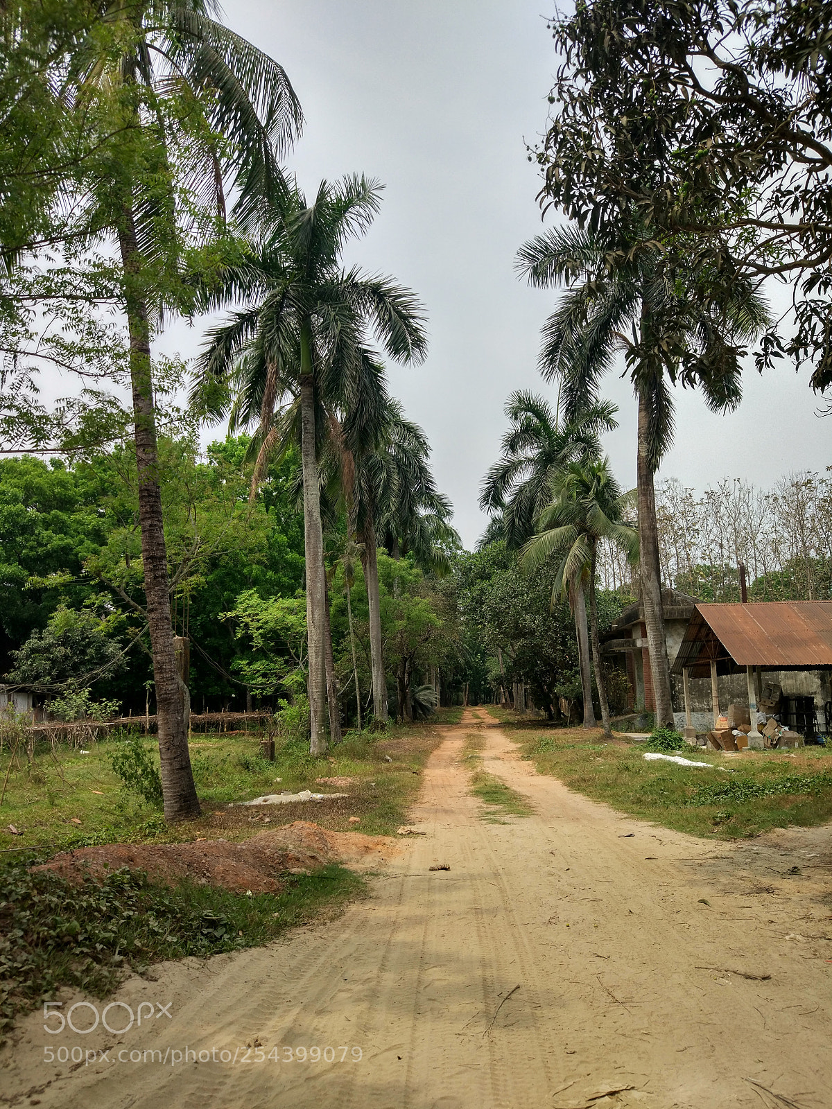 Xiaomi MI 5 sample photo. The road photography