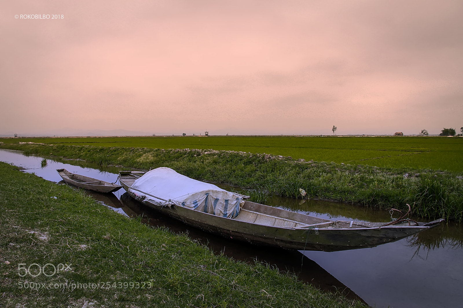 Canon EOS 50D sample photo. Vietnamese rice fields 4 photography