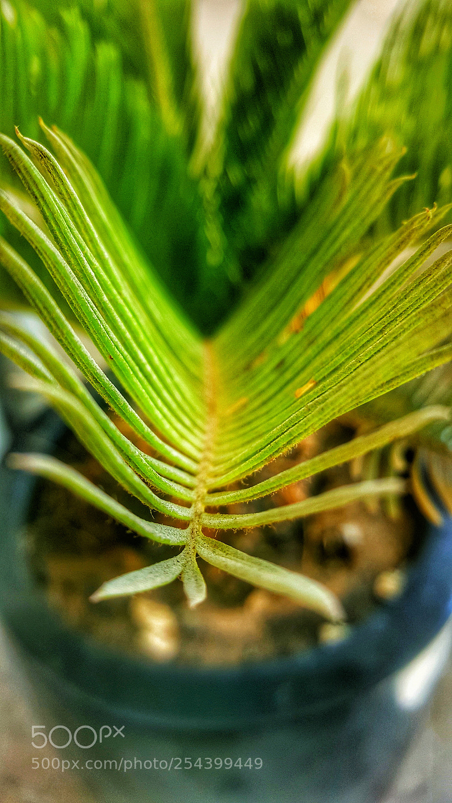 Samsung Galaxy Note5 sample photo. 20171001_113744-01.jpeg photography