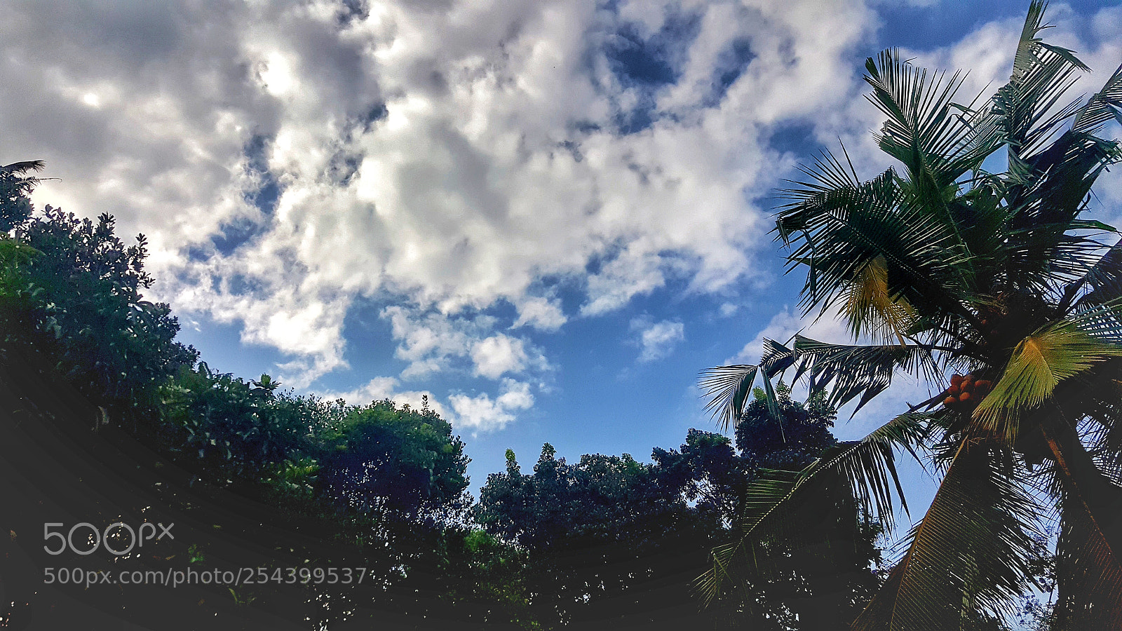 Samsung Galaxy Note5 sample photo. 20171022_145243-01.jpeg photography