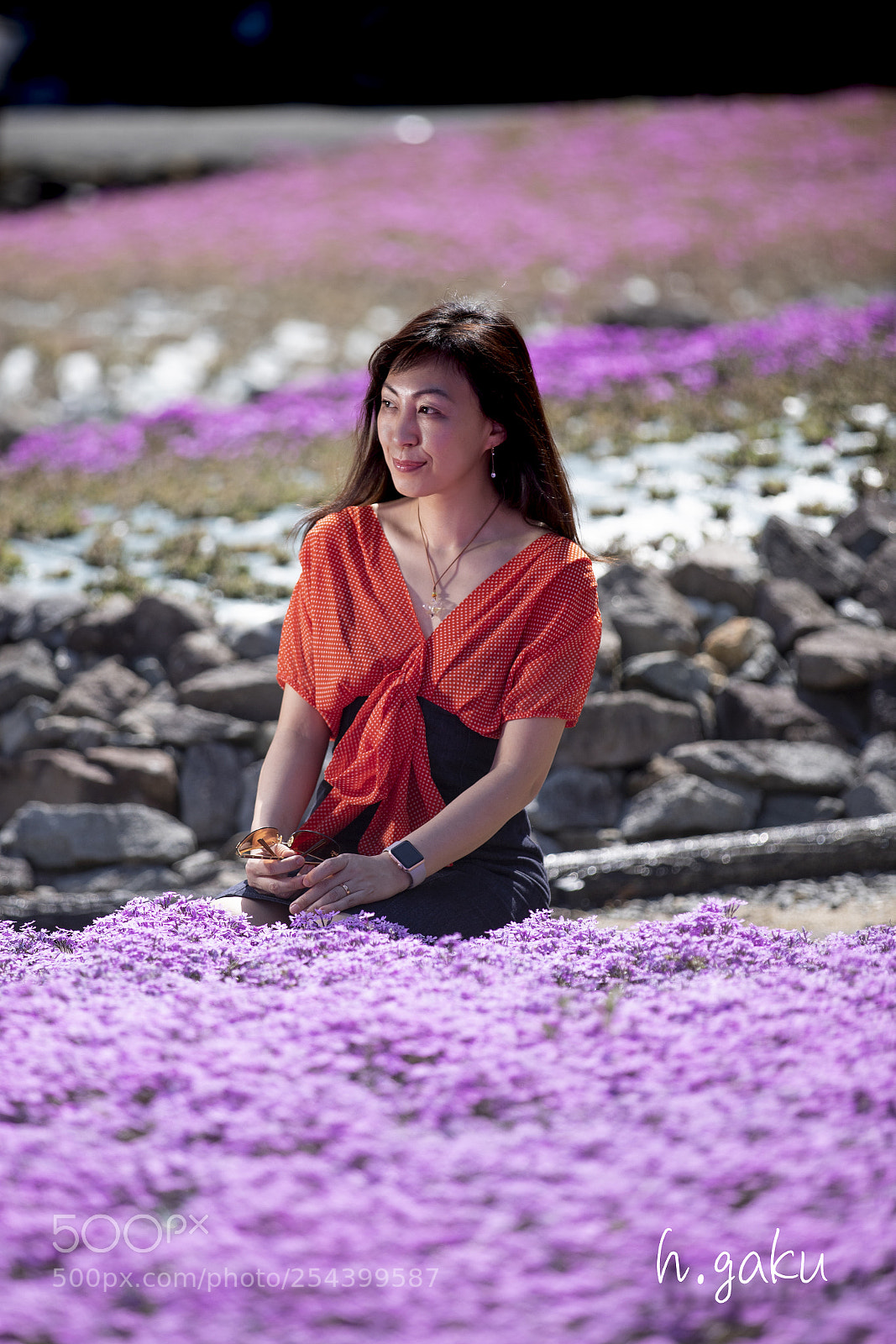 Canon EOS 6D Mark II sample photo. 芝桜 photography