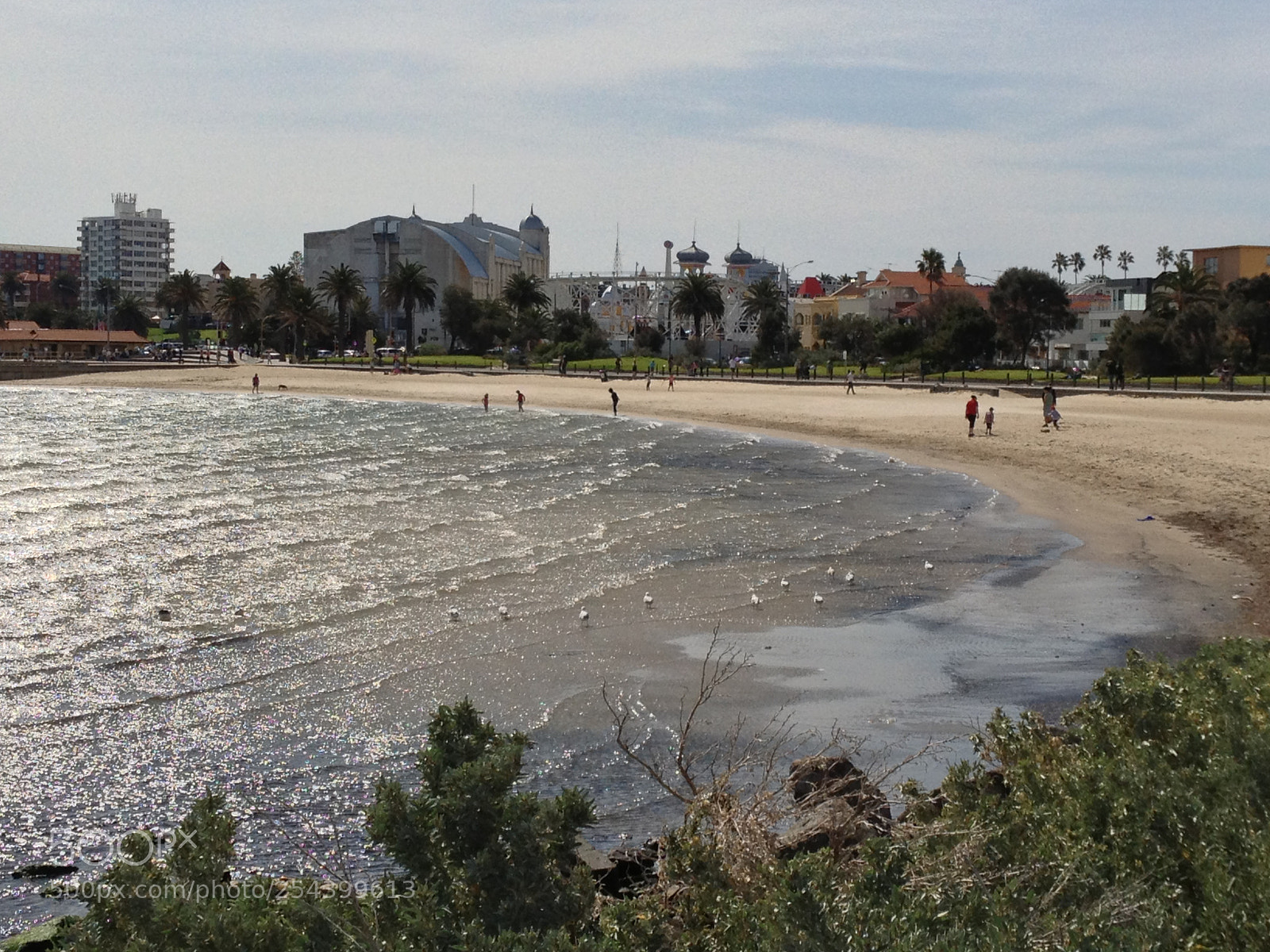 Apple iPhone 4S sample photo. Seagulls at st. kilda photography