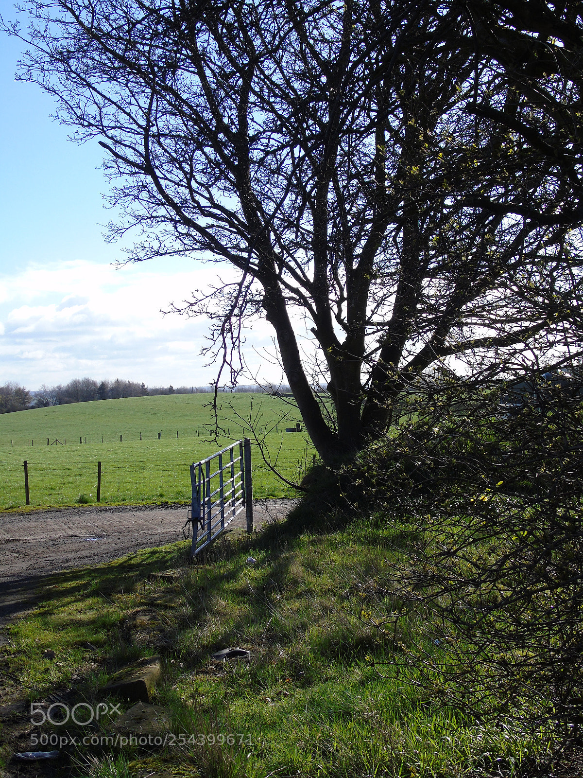 Sony Cyber-shot DSC-H400 sample photo. Farm gate and green photography