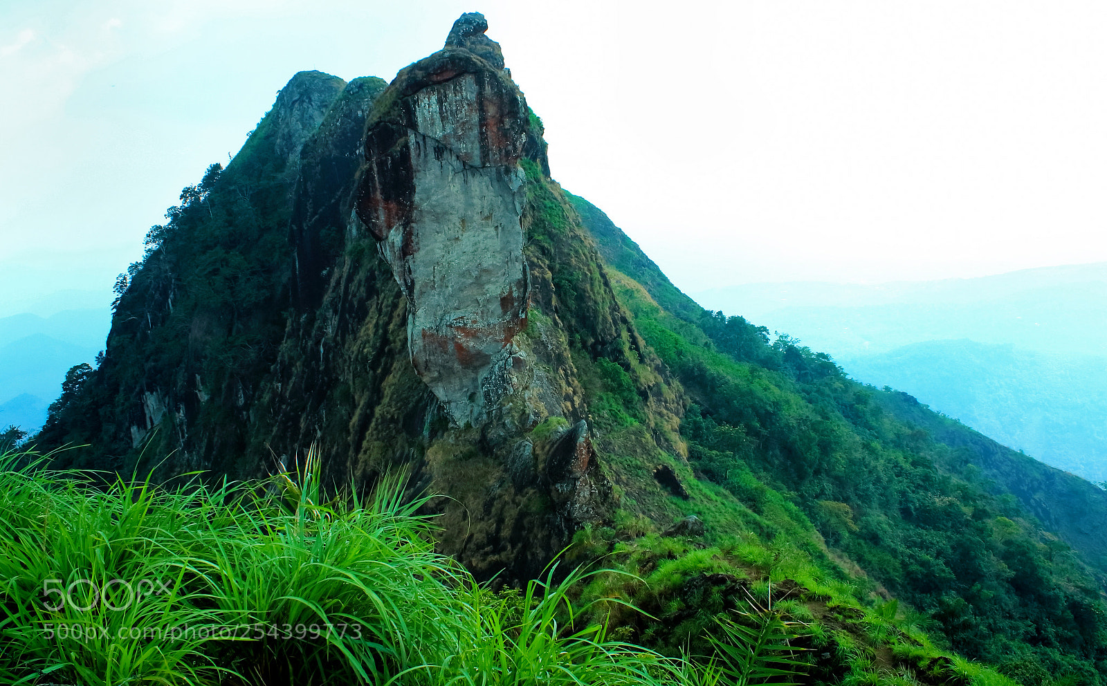 Canon EOS 700D (EOS Rebel T5i / EOS Kiss X7i) sample photo. Green valley photography