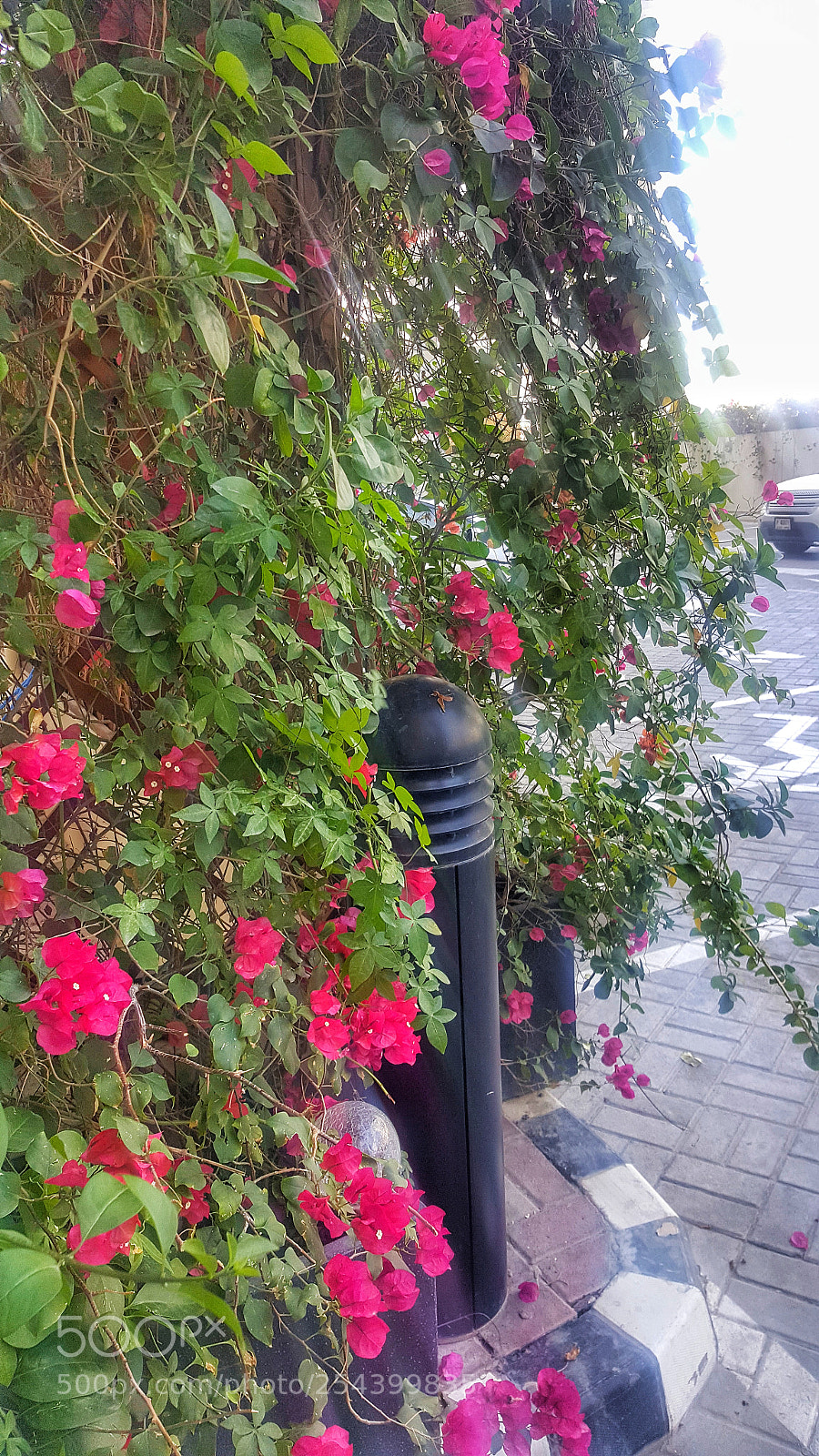 Samsung Galaxy Note5 sample photo. 20180326_132011-01.jpeg photography