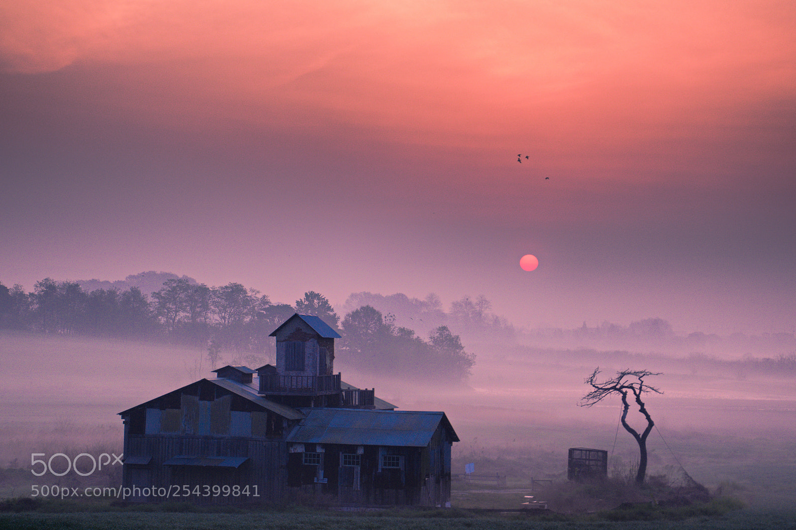 Nikon D5500 sample photo. A ranch morning photography