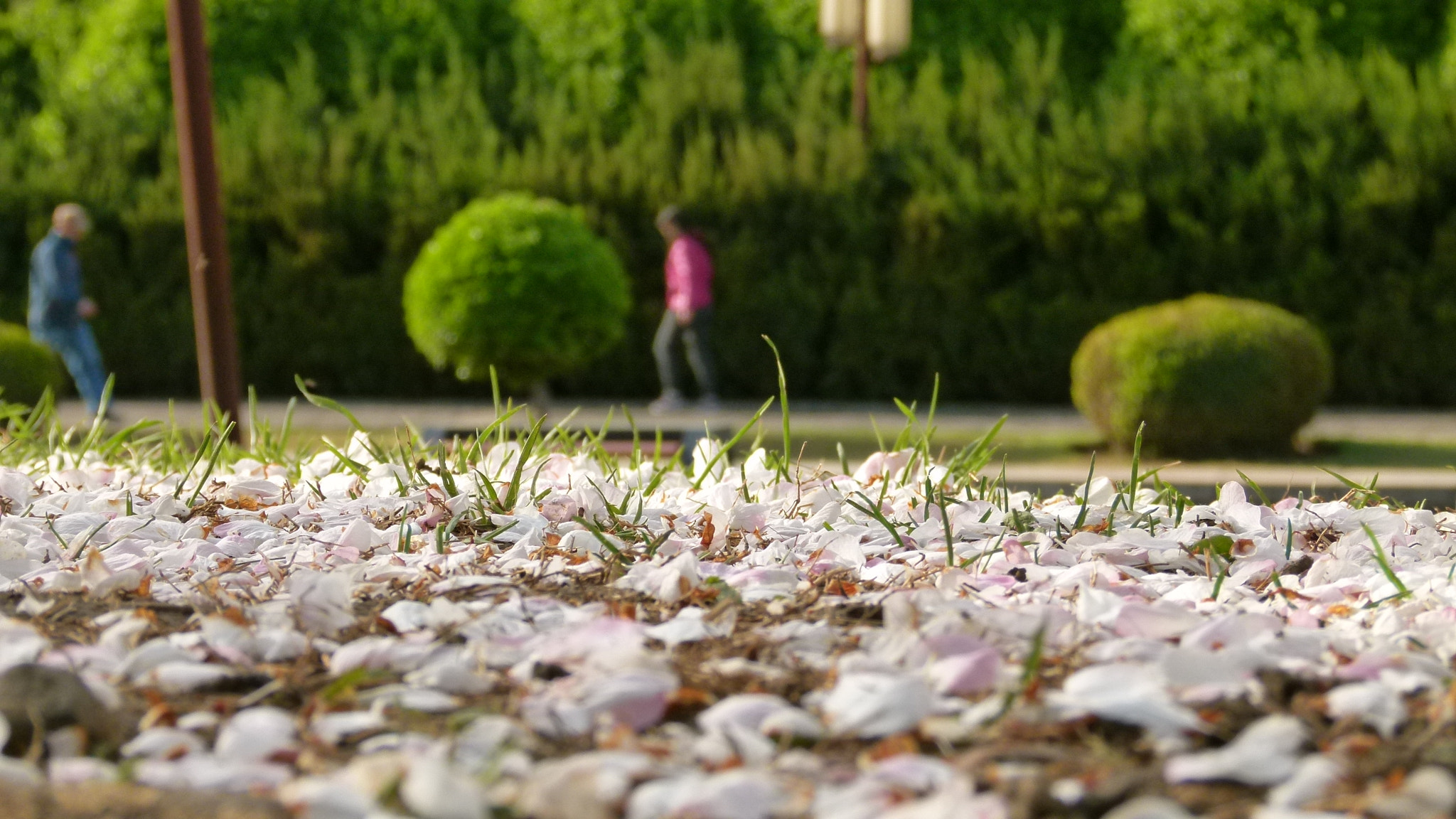 Leica V-Lux 2 sample photo