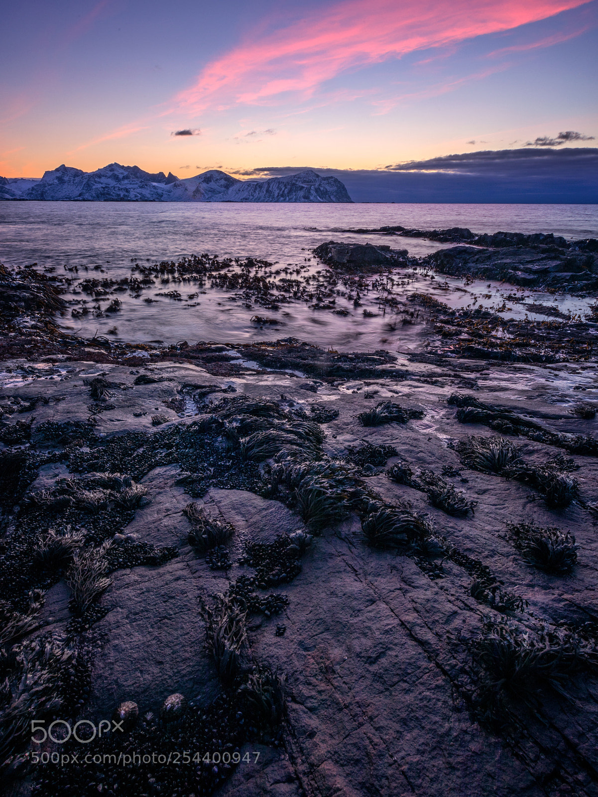 Canon EOS 5D Mark IV sample photo. Lofoten sunset photography