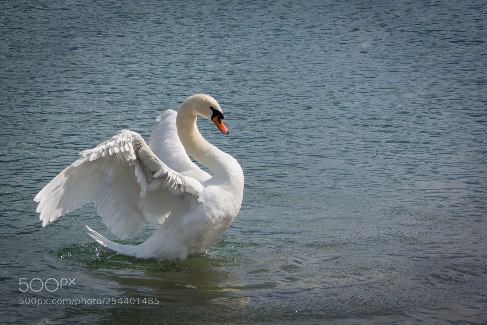 Nikon D7100 sample photo. Untitled photography