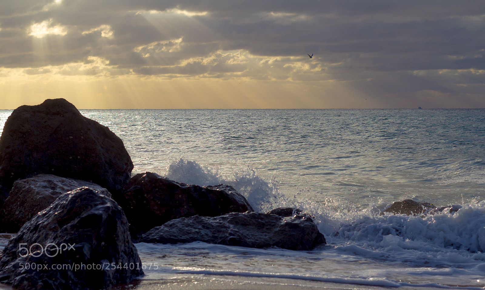 Canon EOS 60D sample photo. Rencontre des l ments photography