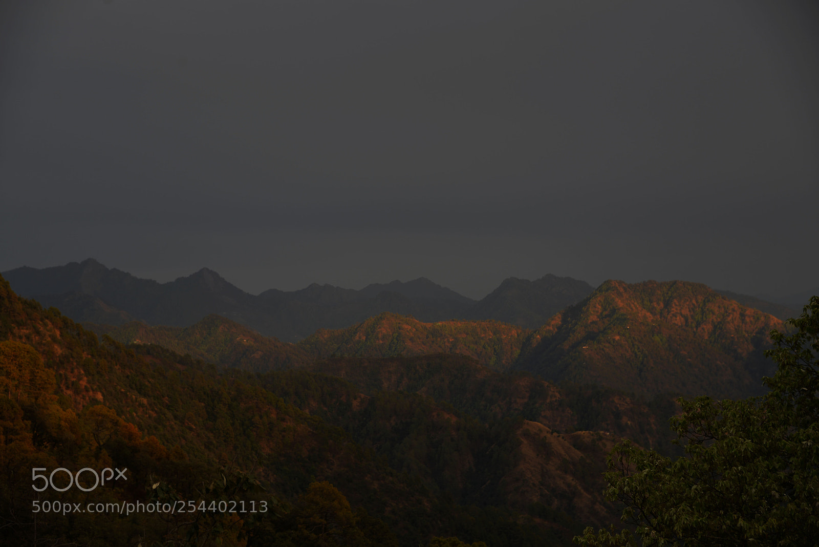 Nikon D610 sample photo. Sun through the clouds photography