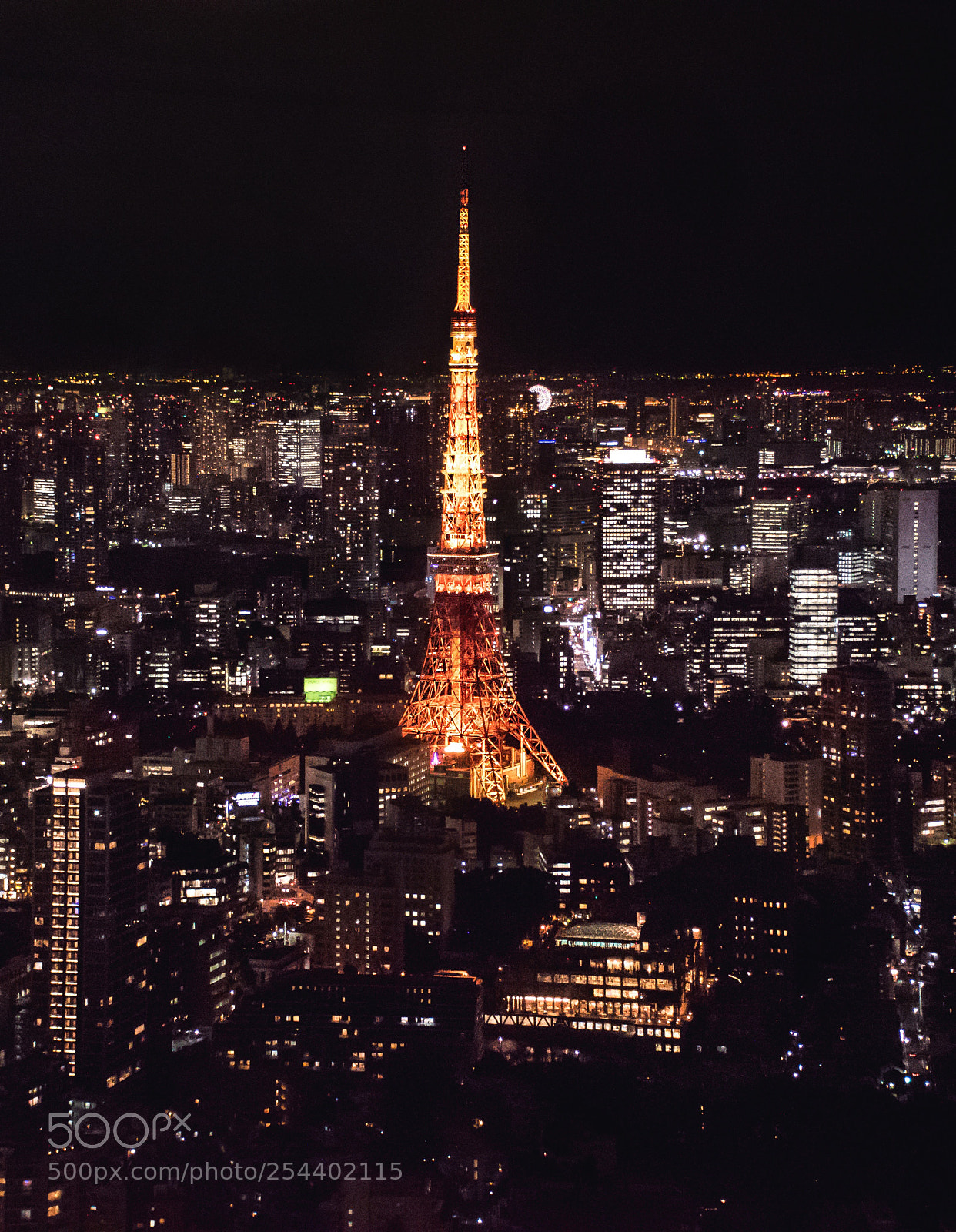 Nikon D5300 sample photo. Tokyo tower  photography
