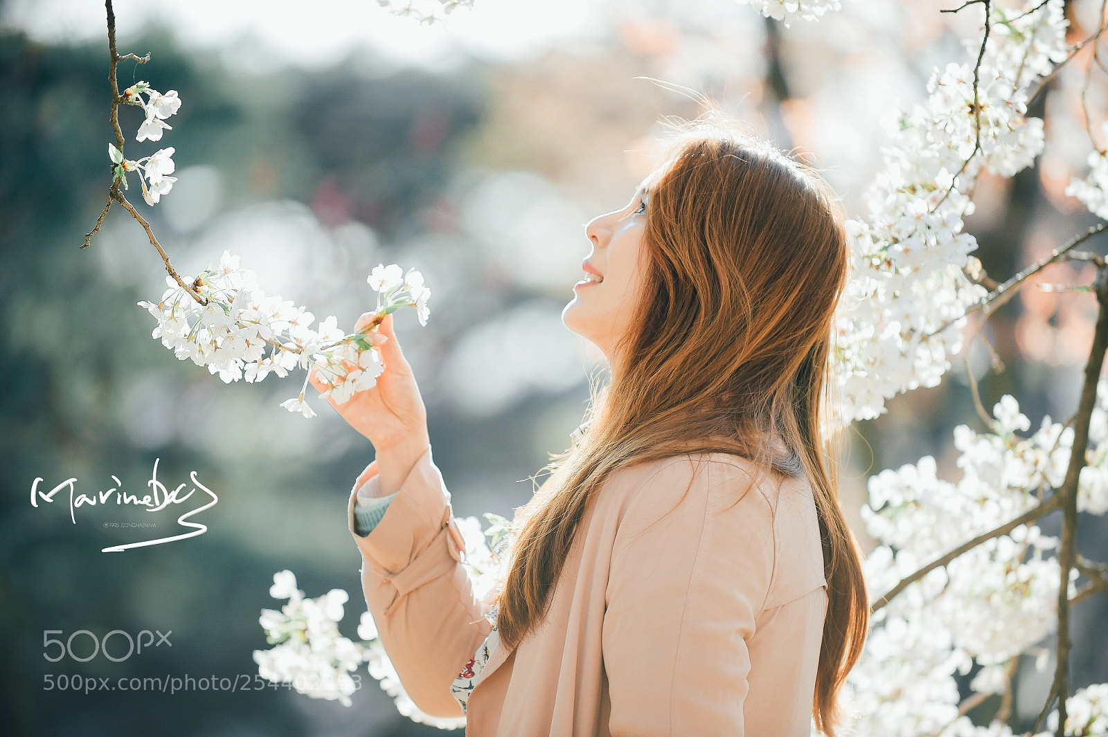 Nikon D4S sample photo. 연우 photography