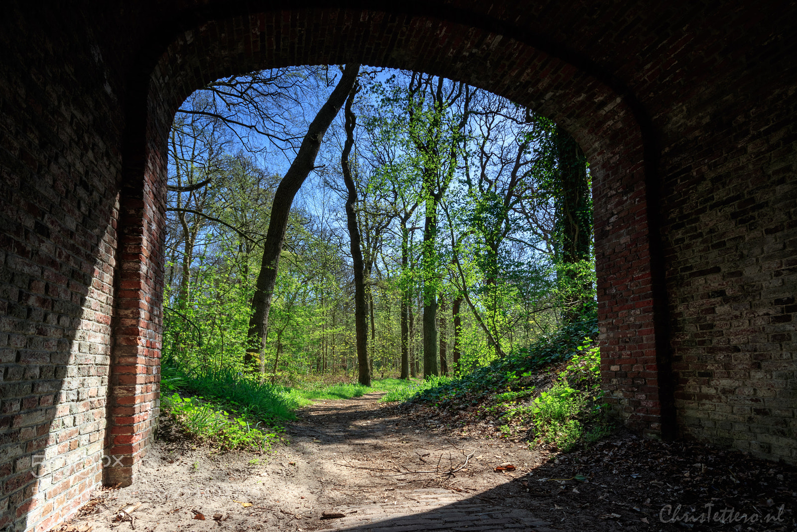 Canon EOS 80D sample photo. Viaduckt park sorghvliet photography