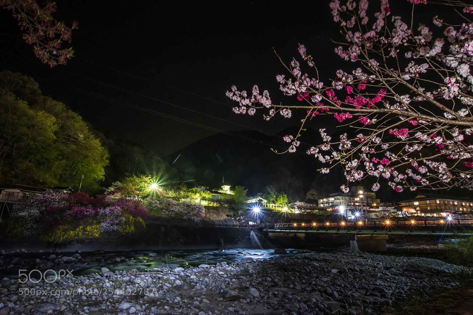 Nikon D610 sample photo. 阿智村花 achi mura flowers photography