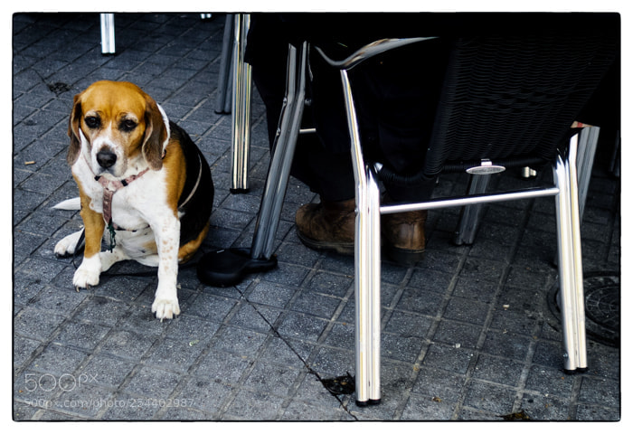 Olympus OM-D E-M1 sample photo. . photography