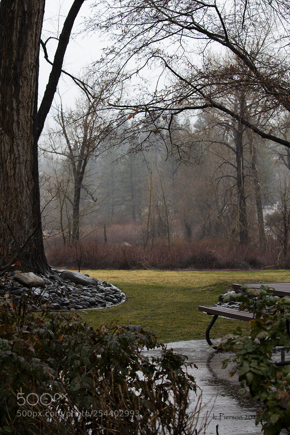 Canon EOS 70D sample photo. Rainy day at crystal photography