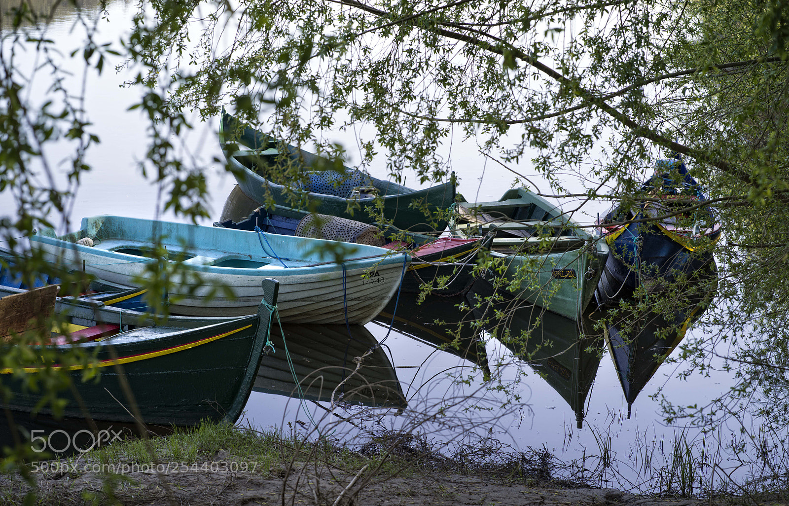 Hasselblad X1D-50c sample photo. Boats photography