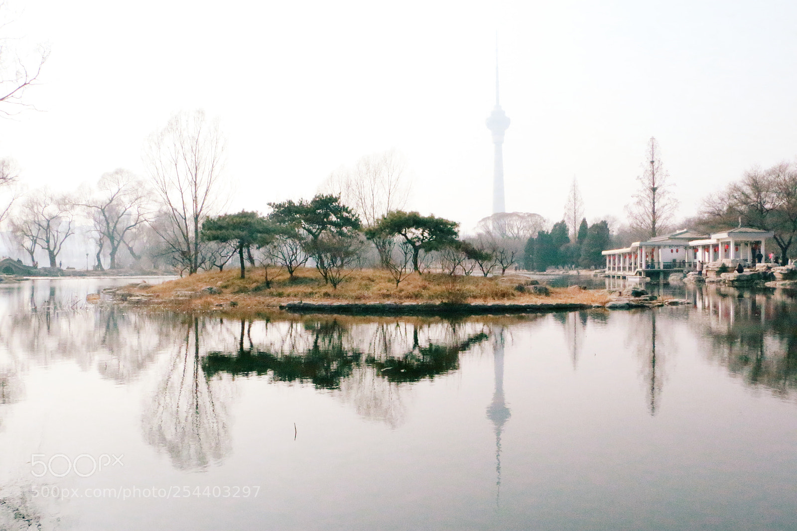 Canon EOS 70D sample photo. Yu yuantan park photography