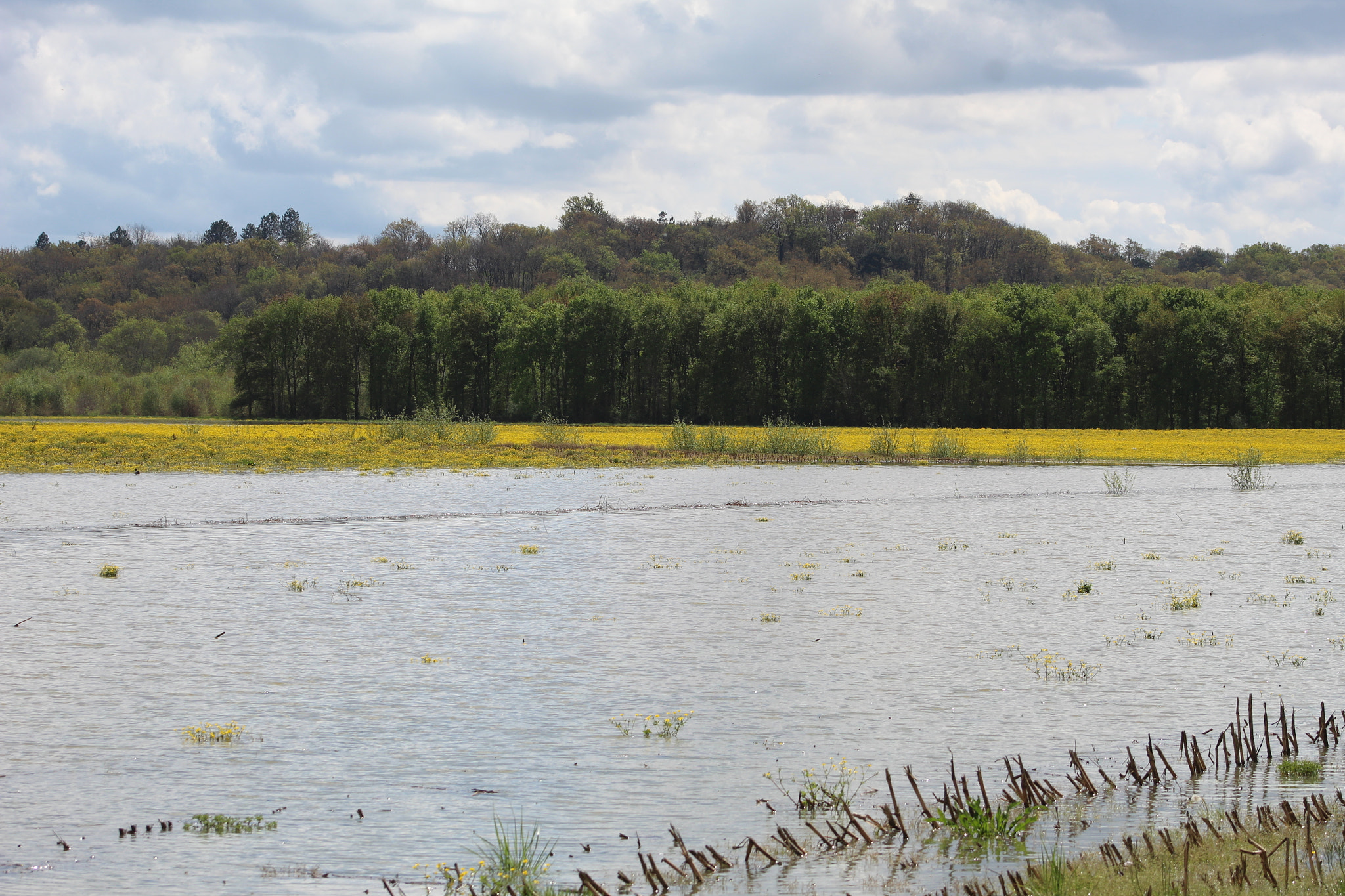 Canon EF 75-300mm f/4-5.6 sample photo