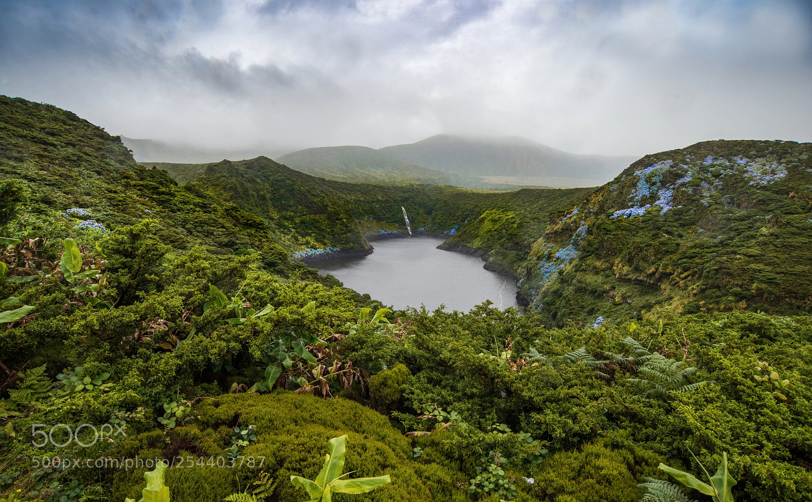Nikon D610 sample photo. Lajes das flores faja photography