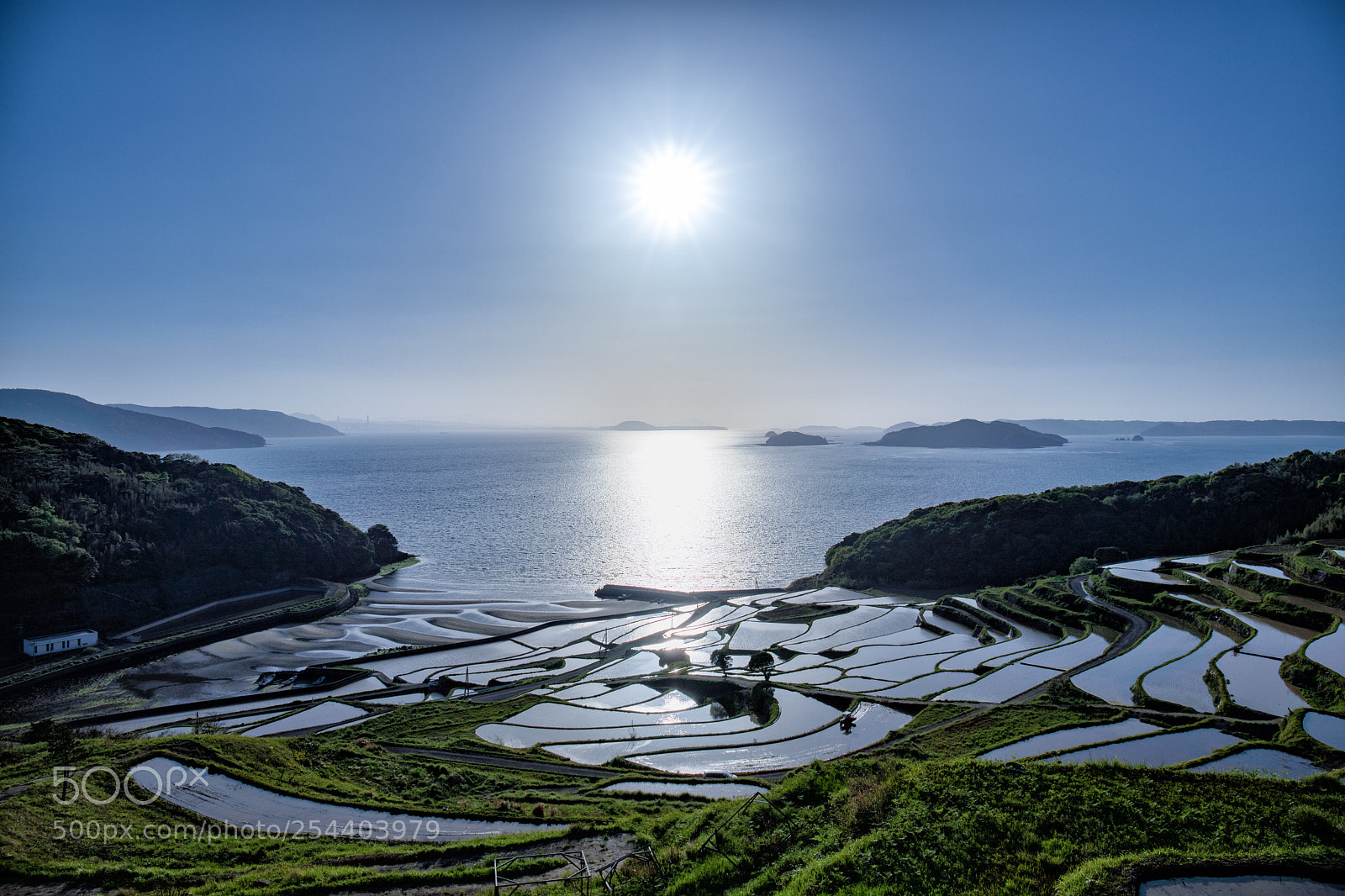 Canon EOS 5D Mark IV sample photo. Sunny rice terraces photography
