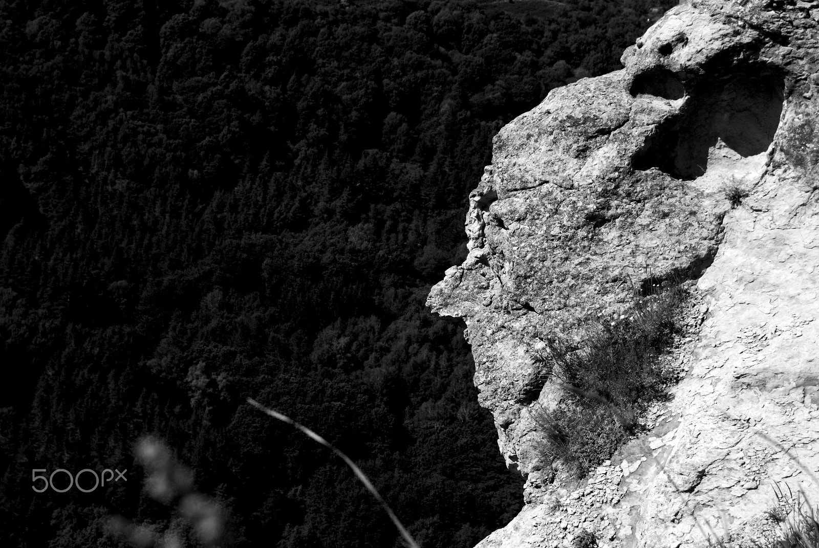 Nikon D40X sample photo. Troll portrait photography